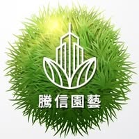 騰信有限公司